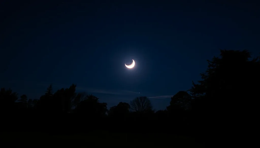 SURREY STARGAZERS CAPTURE RARE LUNAR ECLIPSE PHOTOS